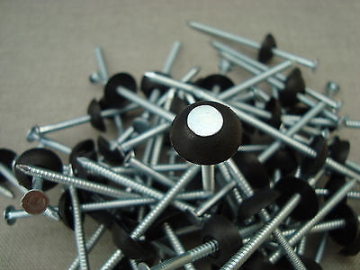 Bitumen Nails Bitumen Sheet Fixing Nails | corrugatedplasticroofing.co.uk